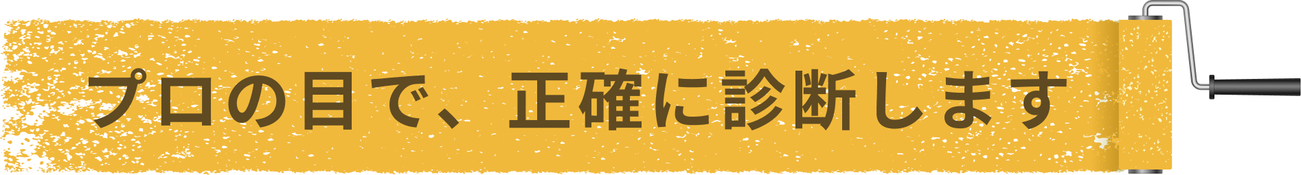 プロの目で、正確に診断します